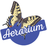 Aerarium Logo